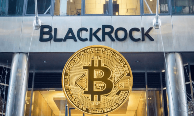 Биткоин-ETF BlackRock потерял 8 млн, что стало вторым по величине суточным оттоком средств за всю историю наблюдений